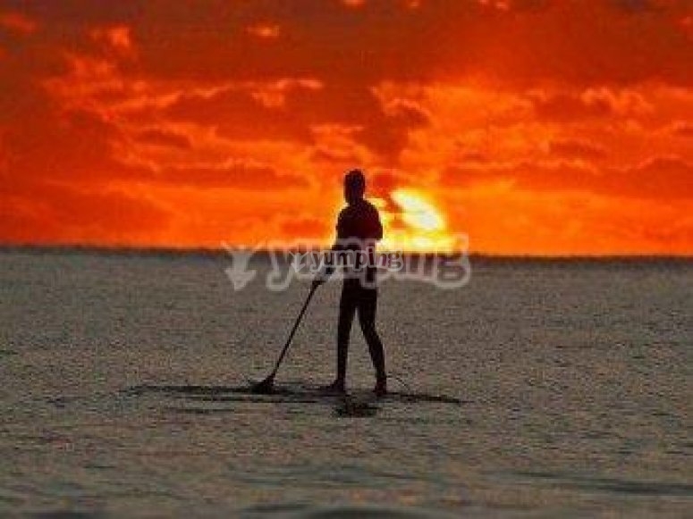 Paddle surf al atardecer /tb_tablas de surf2.jpg